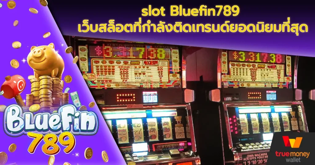 slot Bluefin789 เว็บสล็อตที่กำลังติดเทรนด์ยอดนิยมที่สุด