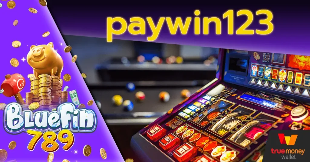 paywin123