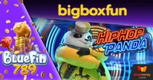 bigboxfun